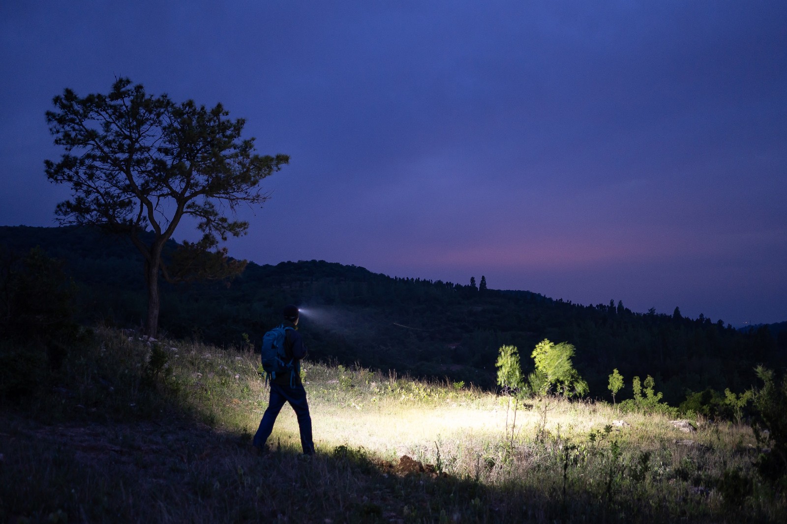 Olight Perun 3 Mini Midnight Blue Premium Headlamp, Red/White LED, 1250 Lumens