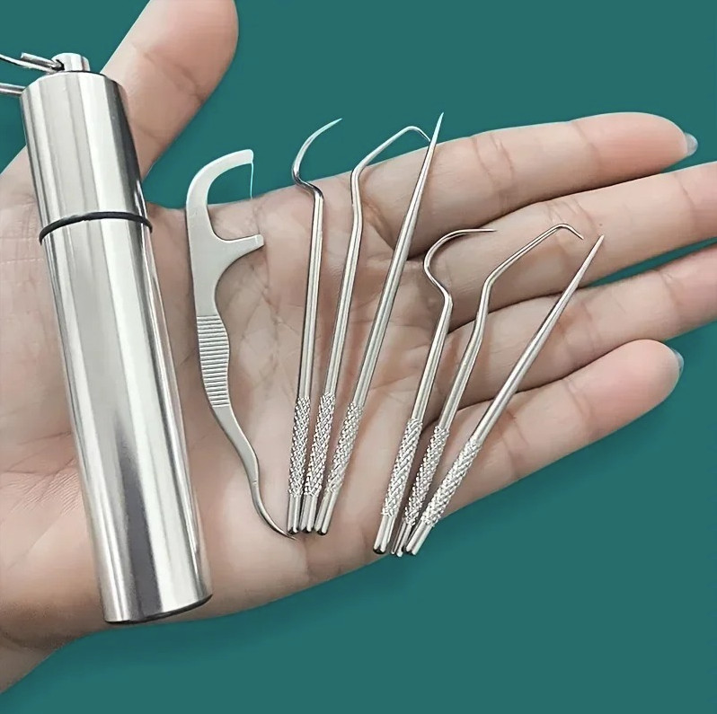 1set Stainless Steel Toothpick Oral Cleaner Reusable Dental Tool – NEW