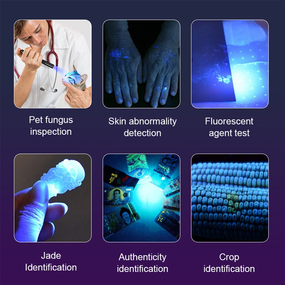 365NM UV Ultra Violet LED Flashlight Blacklight Light Inspection Lamp Torch