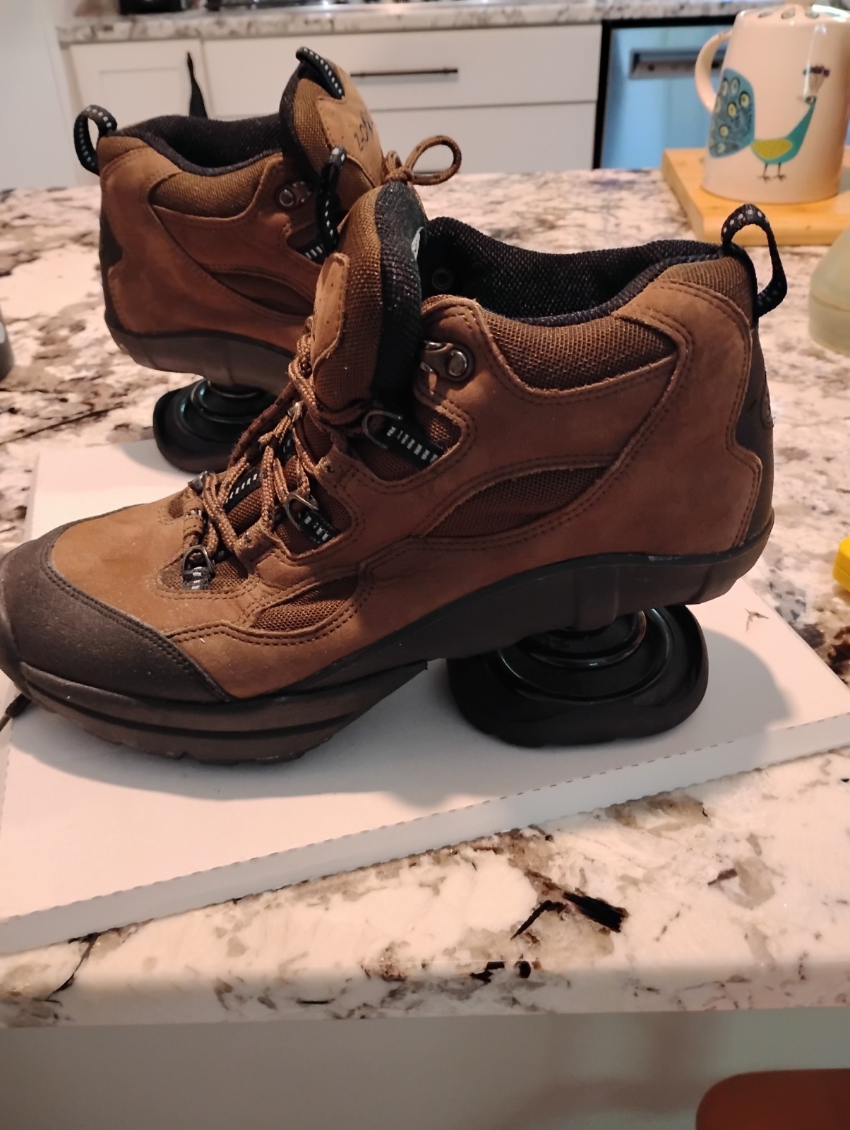 Z-Coil High Desert Hiking Shoes Brown Leather Mesh Size M10.