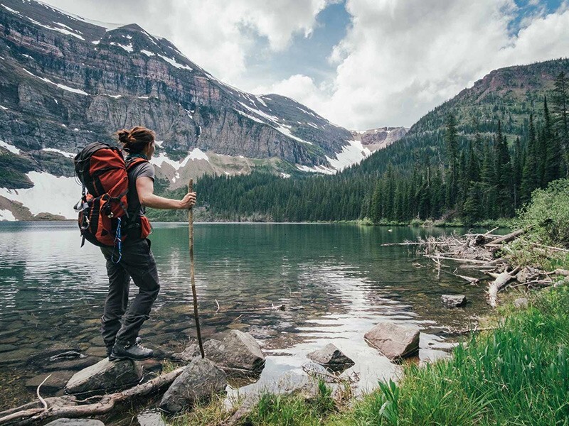 Natural Ozark Hiking & Walking Sticks 54″ Height