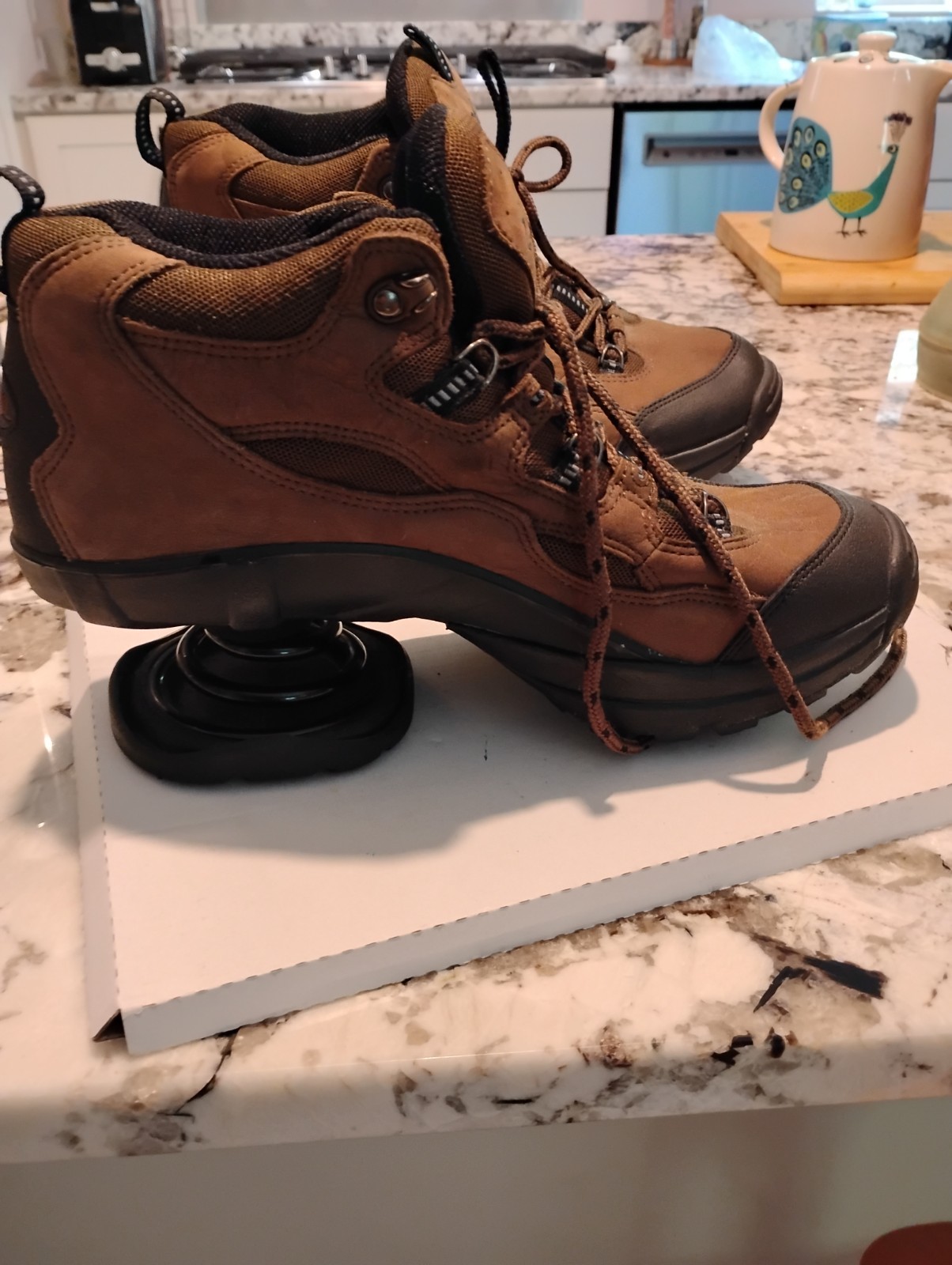 Z-Coil High Desert Hiking Shoes Brown Leather Mesh Size M10.