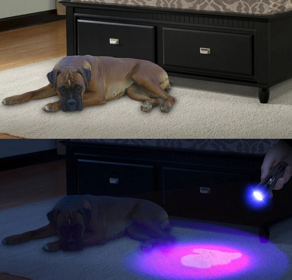 UV Ultra Violet 51 LED Flashlight Blacklight 395 nM Inspection Lamp Light Torch