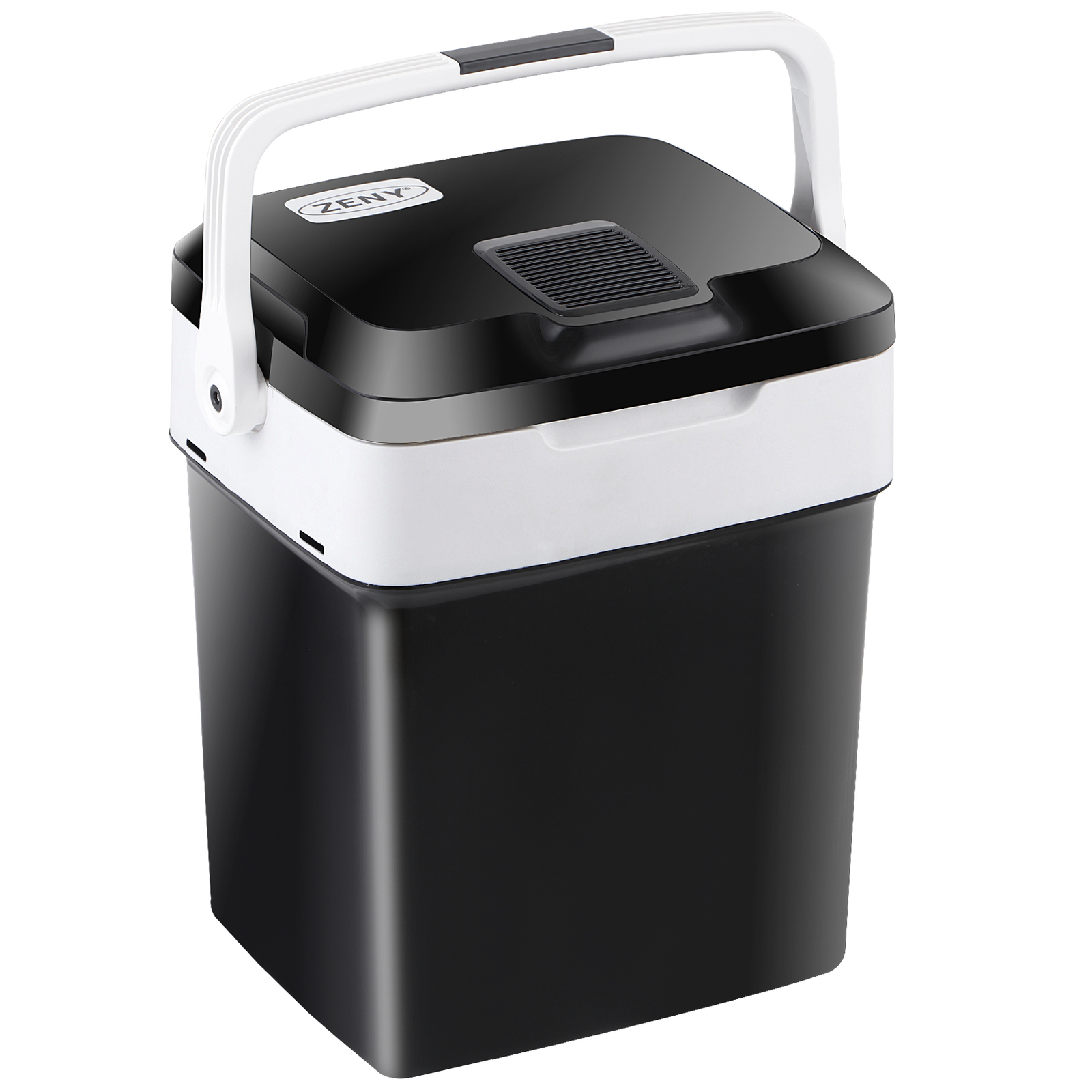 Portable Electric Cooler and Warmer Refrigerator Plug In Cooler Car Refrige 12V