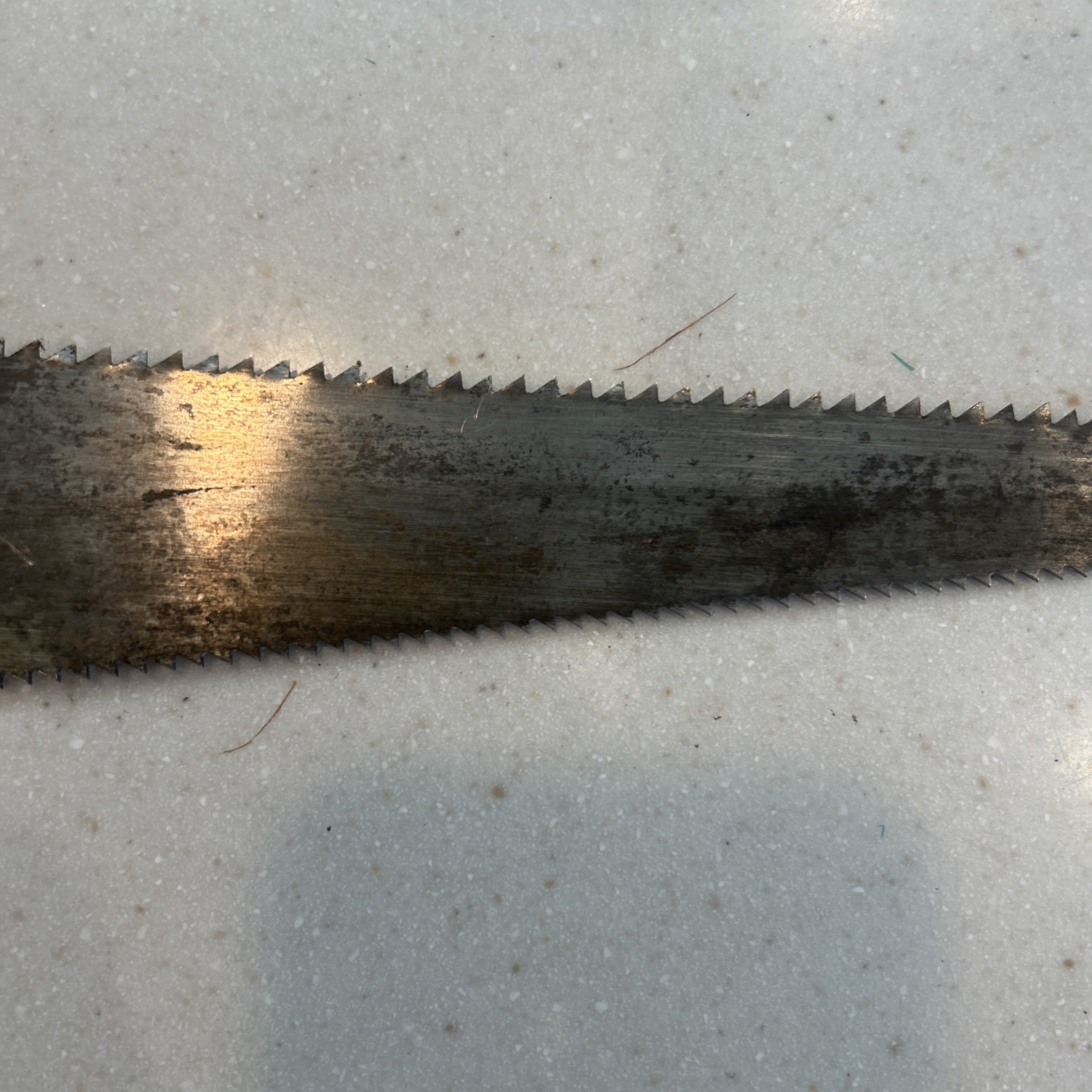 KNAPP SPORT SAW The Pioneer Co. Hunting Bone Saw / Camping Saw w/ Leather Sheath