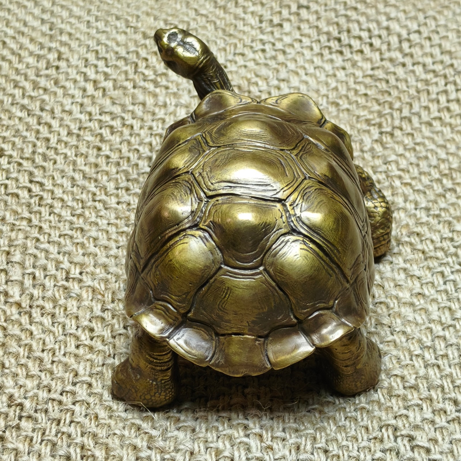 Brass copper Galapagos Tortoise ornament Artistic handcraft turtle reptile cast