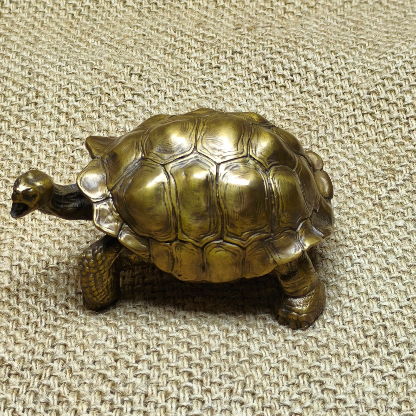 Brass copper Galapagos Tortoise ornament Artistic handcraft turtle reptile cast