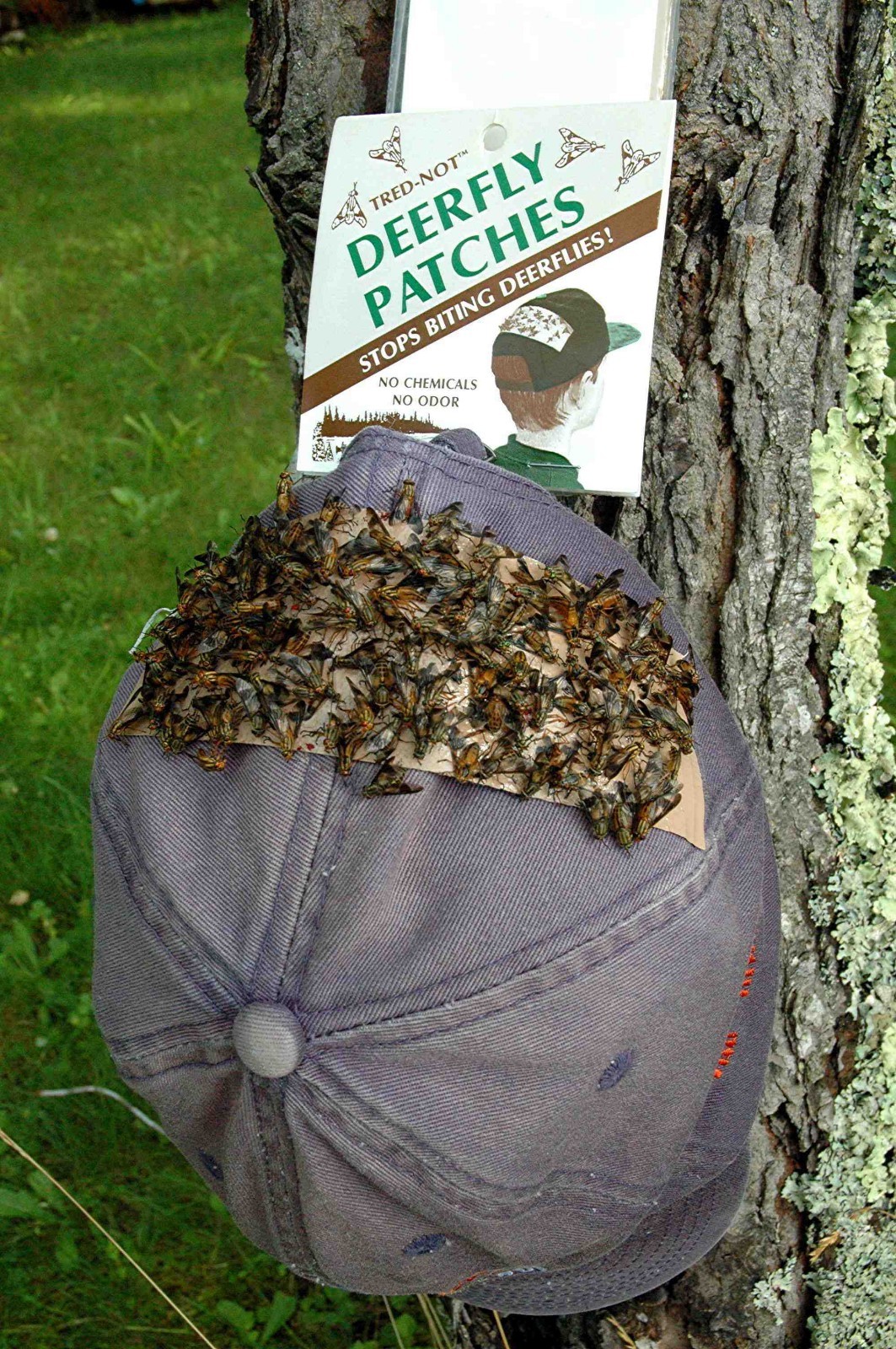 12 pk Deerfly / Gnat Patches, Tred-Not Deer Fly / Gnat Patch repellent USA