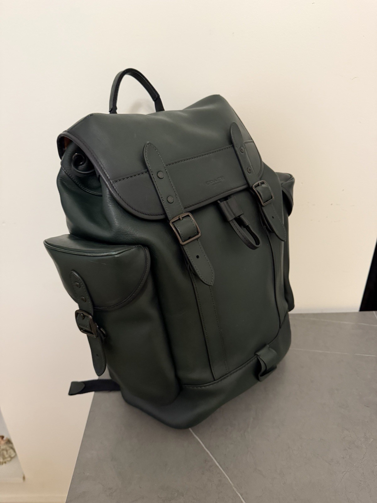 Coach Hudson Backpack in Sport Calf Leather, Olive Green