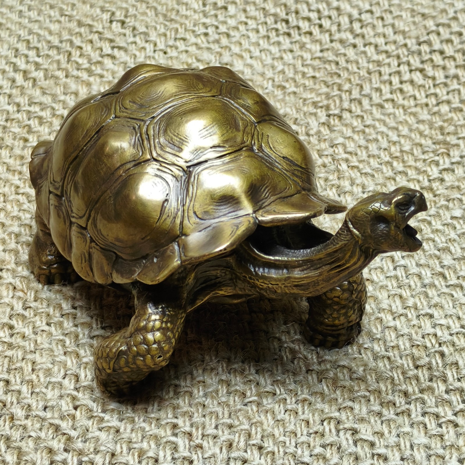 Brass copper Galapagos Tortoise ornament Artistic handcraft turtle reptile cast