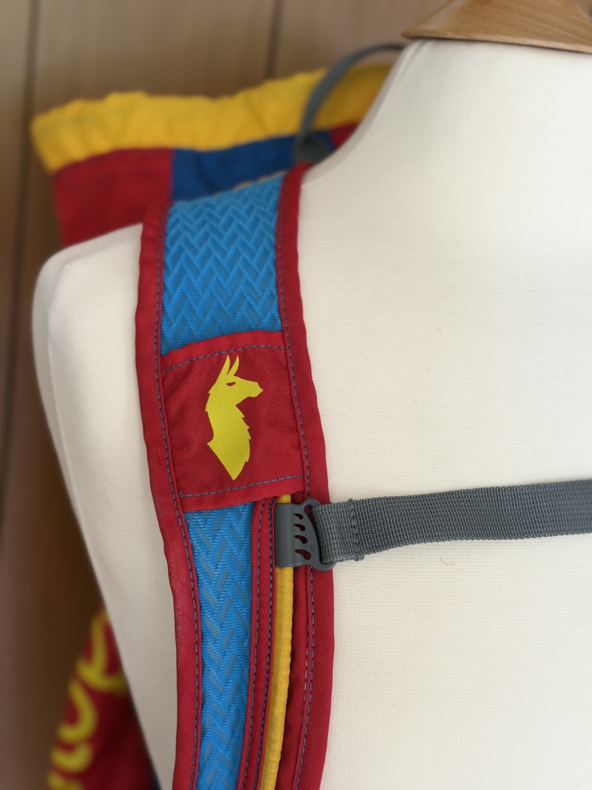 COTOPAXI Luzon Del Dia 18L Backpack Multicolor – Blue Red Yellow