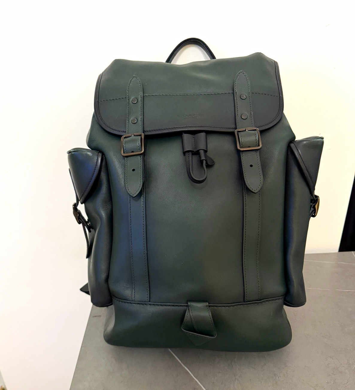 Coach Hudson Backpack in Sport Calf Leather, Olive Green