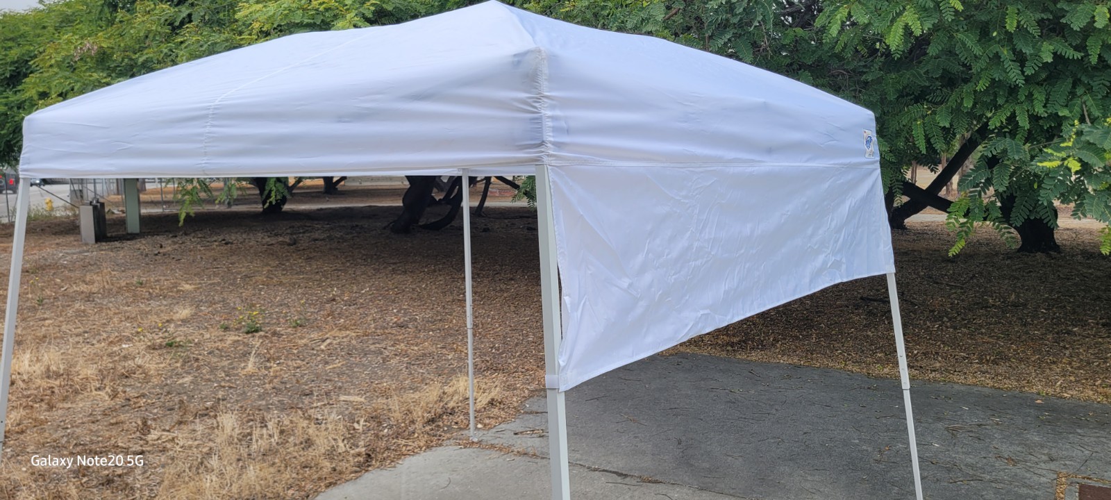 E-Z UP Dome II 10×10 Instant Canopy, Quick Setup, White (DOMEII)