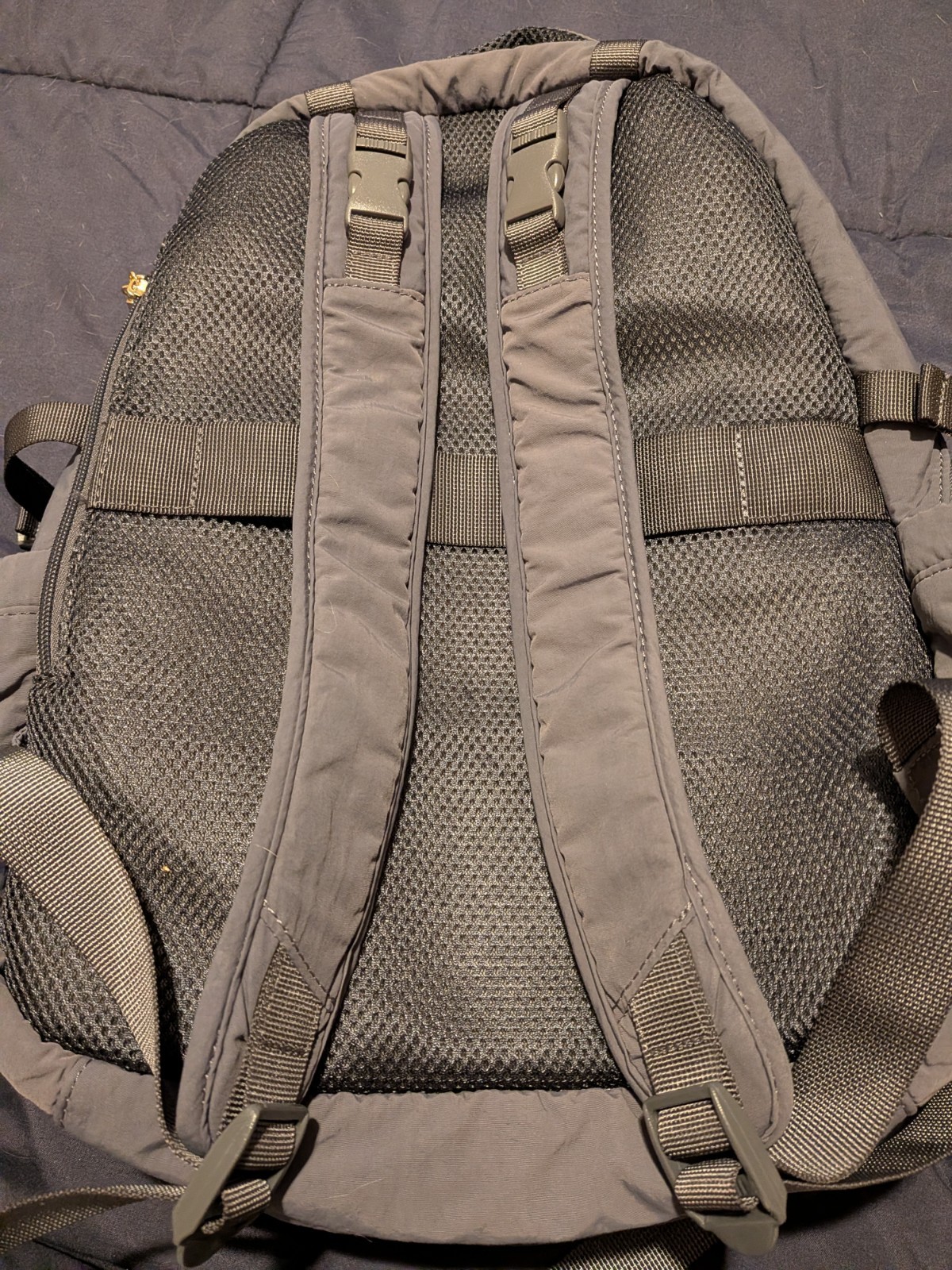 IMNYC Gray Insulated Backpack, Zip Closure, Zipper Accents, Unisex Adults