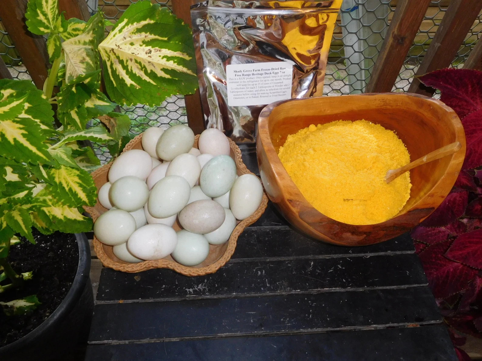 12.5 oz Freeze Dried Raw DUCK Egg Powder, From Our Own HERITAGE Free Range Birds