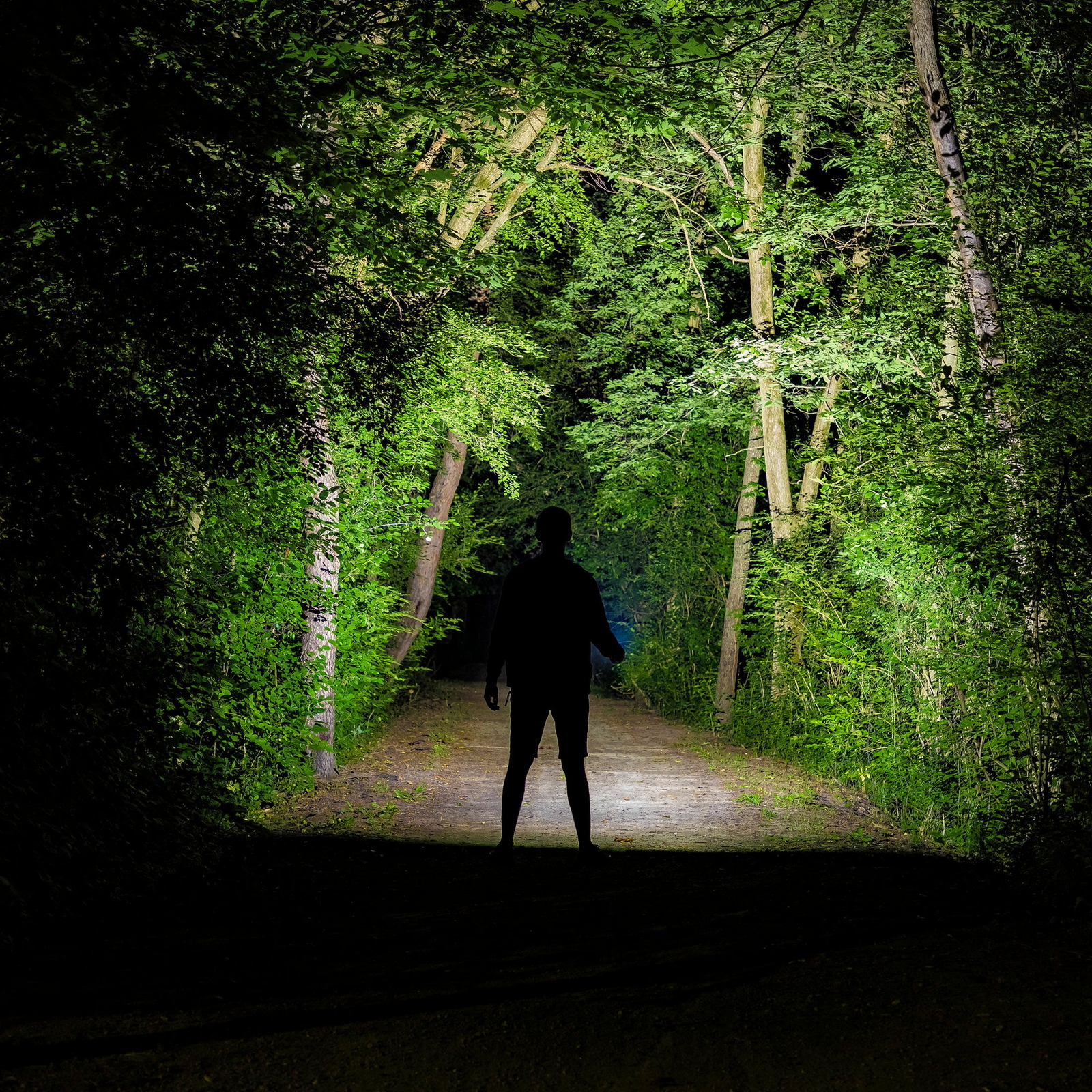 Kodiak 1-mile Beam Rechargeable Tactical Flashlight COB LED 1000 Lumens