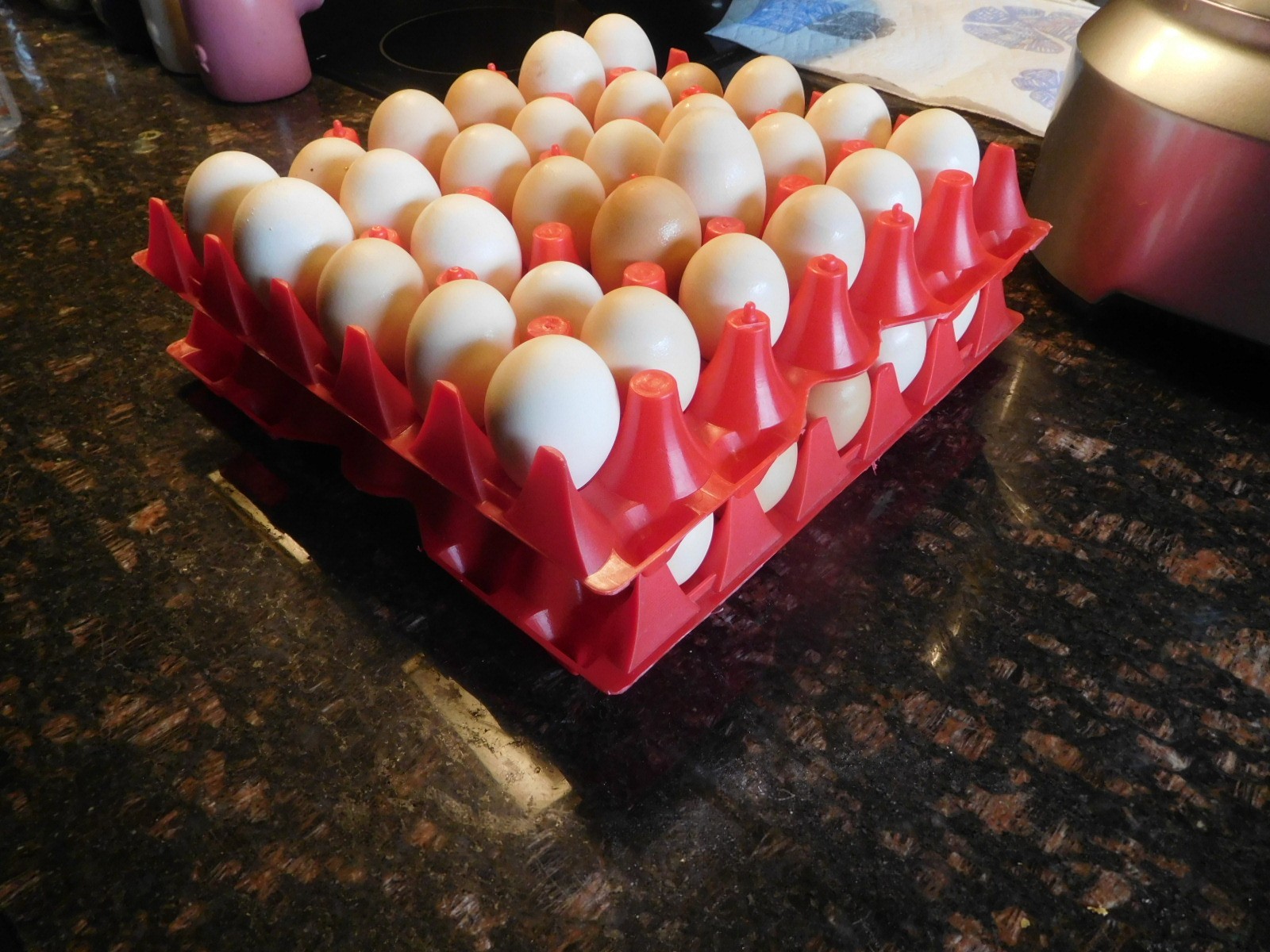 12.5 oz Freeze Dried CHICKEN Eggs From Our Own HERITAGE Free Range Birds